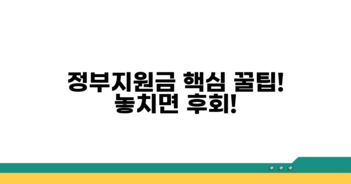 정부 지원금 활용 팁