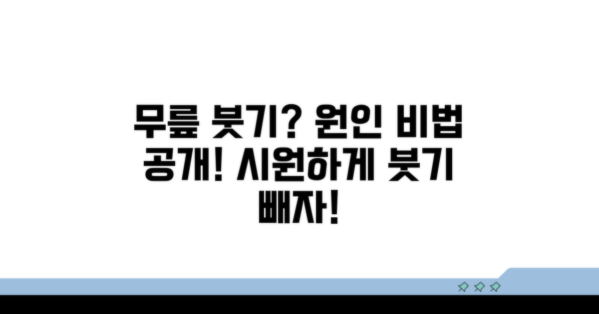 무릎 붓기 원인과 핵심 관리법
