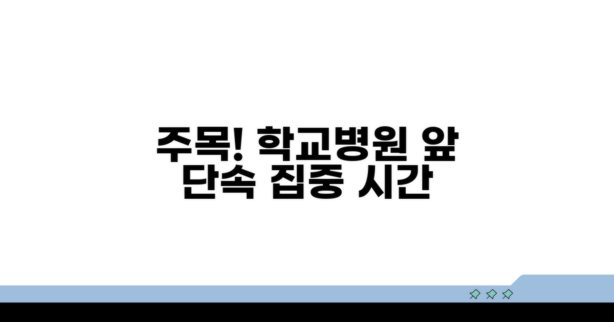 병원 학교 주변 집중 단속 시간