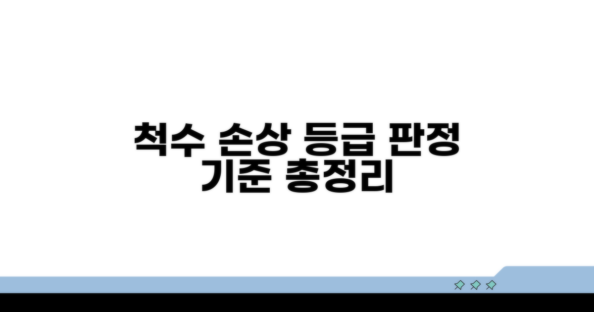 척수 손상 등급 판정 기준 이해