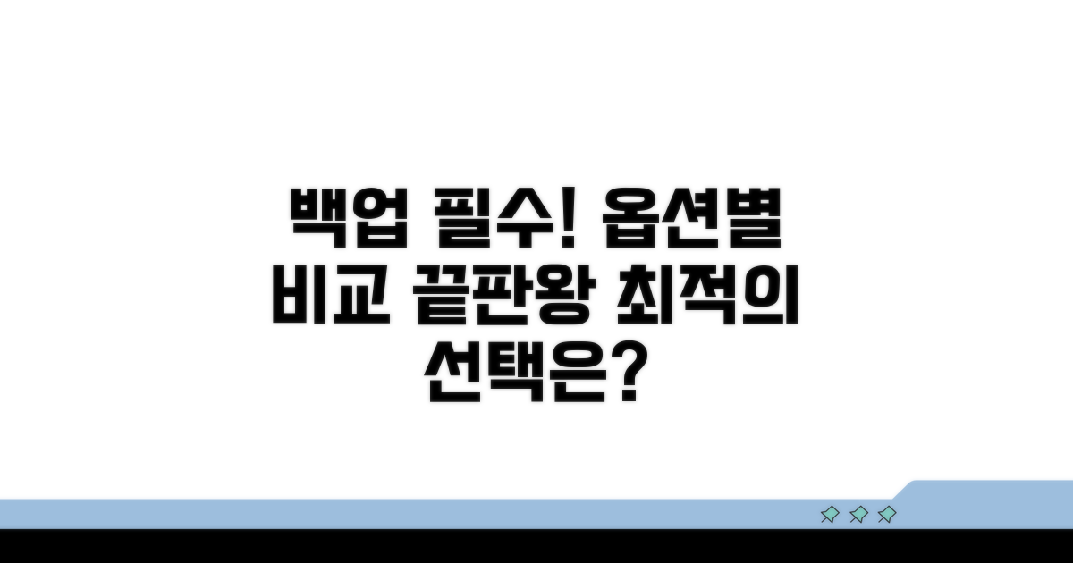 백업 옵션 상세 비교 분석
