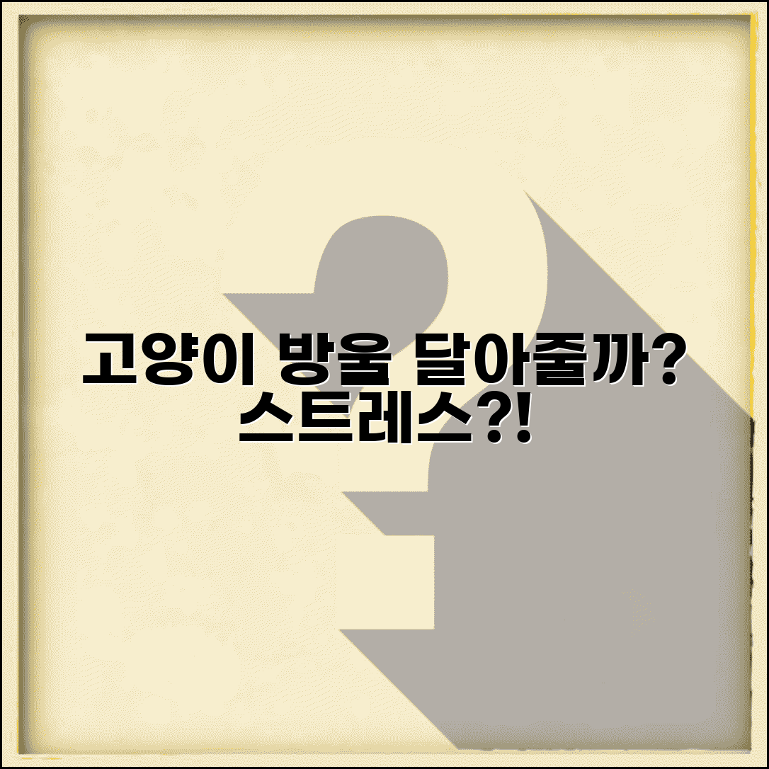 고양이 목에 방울 달아주는게 좋나요 안좋나요 | 고양이 방울 | 스트레스 | 청각