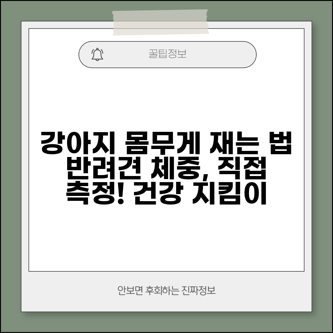 강아지 몸무게 재는 방법 알고 싶어요 | 강아지 체중 | 건강관리 | 측정법