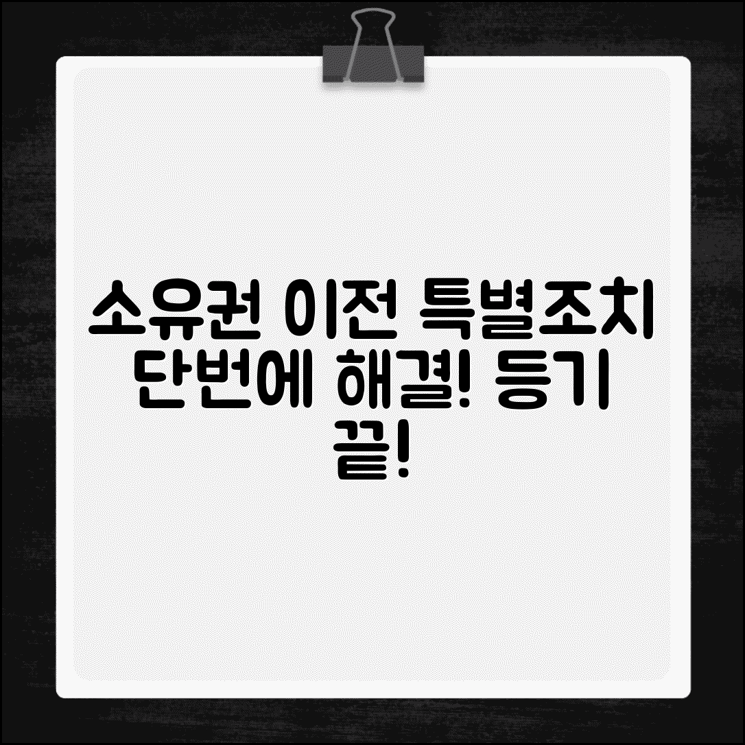 부동산 소유권이전 특별조치 | 특별조치법 적용 소유권이전등기