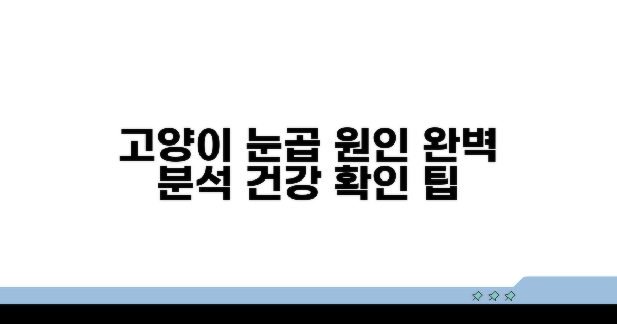고양이 눈곱 끼는 이유 상세 분석