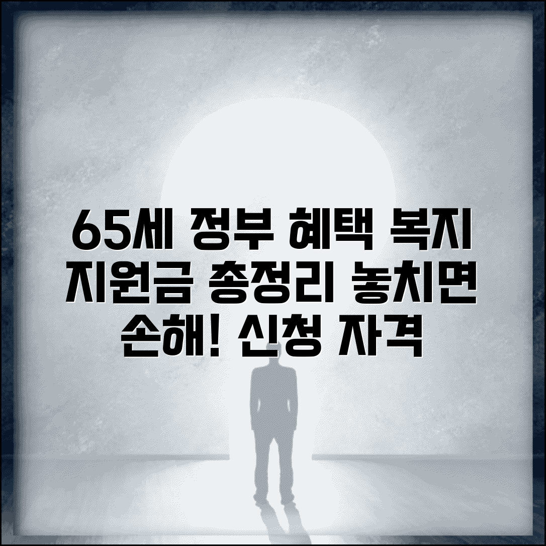65세 이상 정부 혜택 모음 | 복지서비스와 지원금 신청 자격, 종류 총정리