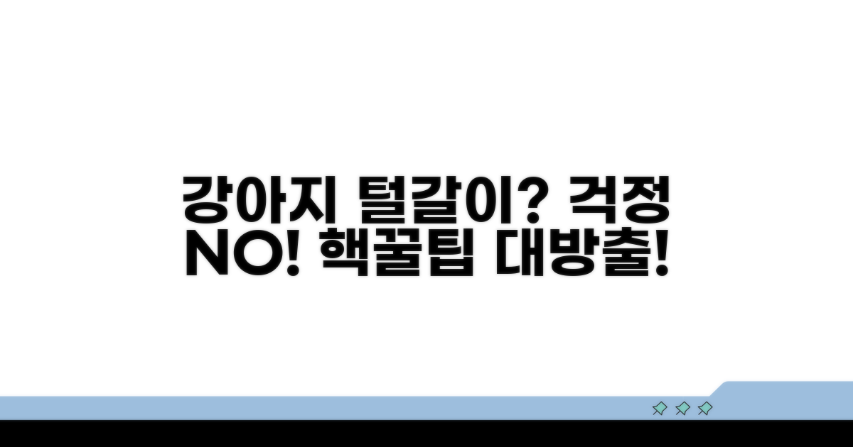 강아지 털갈이 대처 노하우