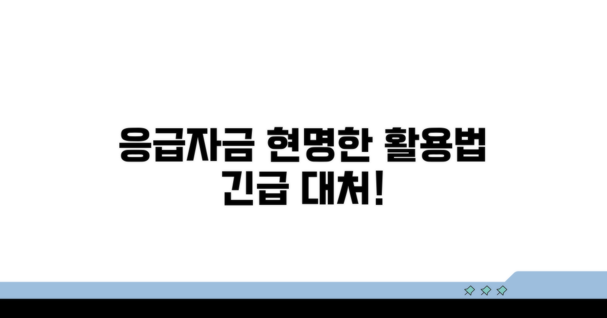 응급자금 활용법과 주의사항