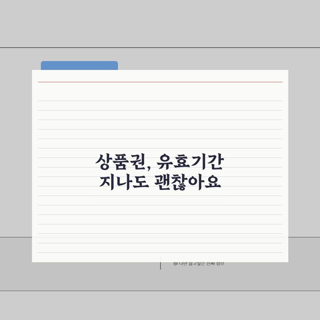 유효기간 지난 상품권 활용법 | 환불/교환정책 + 기간연장 신청방법 꿀팁 알려드려요